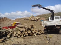  unloading the second load of the day - which combined was 5 tonnes of logs - pretty good for a mornings work